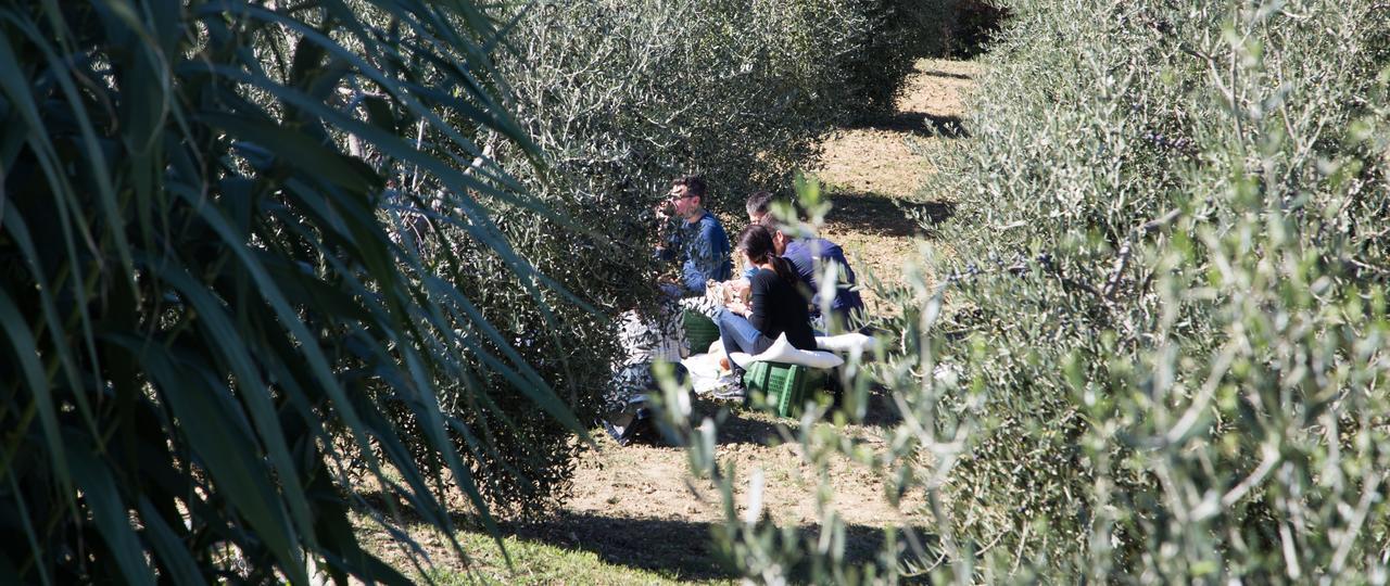 Agriturismo Cielsereno Villa Casole d'Elsa Luaran gambar