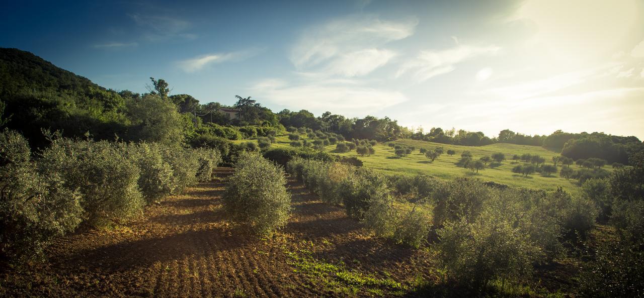 Agriturismo Cielsereno Villa Casole d'Elsa Luaran gambar